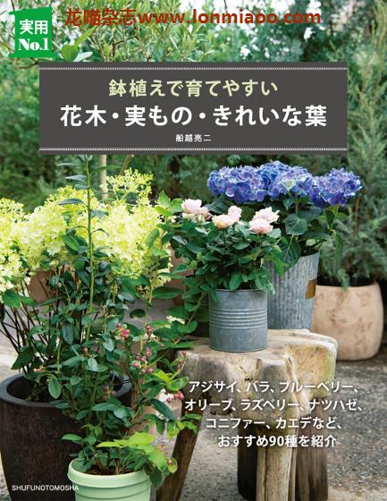 [日本版]Shufunotomo 花木・実もの・きれいな葉 盆栽园艺PDF电子书下载